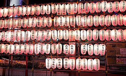 《皮克敏4》新实机预告“你与皮克敏的首次冒险”